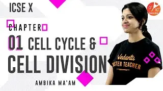 Cell Cycle and Cell Division 🦠| Structure of Chromosome | ICSE Class 10 Biology | Vedantu 9 and 10