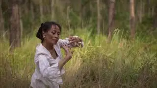 SATWALIAR - SENJA DI UTARA (Official Music Video)