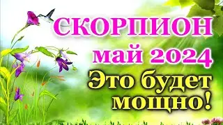 СКОРПИОН - ТАРО ПРОГНОЗ на МАЙ 2024 - ПРОГНОЗ РАСКЛАД ТАРО - ГОРОСКОП ОНЛАЙН ГАДАНИЕ