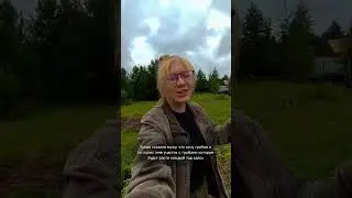 Собственный участок с грибами