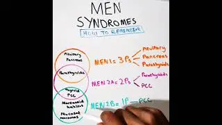 How to remember the MEN syndromes in 60 Seconds!!! #Shorts #TachyTidbit
