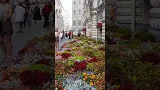 Москва.цветы у Гума.