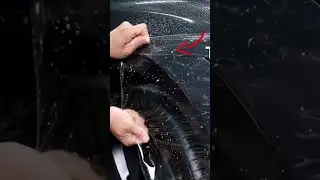 PPFing Model 3 Highland in bulk