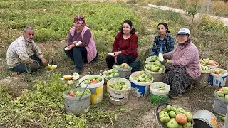 Picking vegetables with my 3 sisters-in-law and my sister-in-law❗️|We're nearing the end