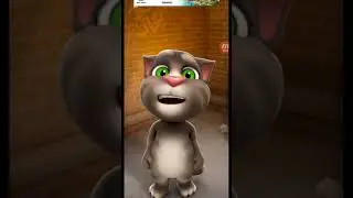 🔥тому остро 🔥#том#шедевротомчик#