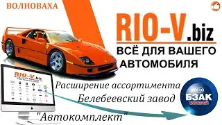 ✅ RIO-V АВТОЗАПЧАСТИ Волноваха | Каталог БЗАК RIO-V