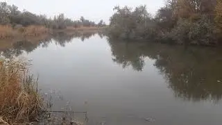 Каланча 06.11.2021