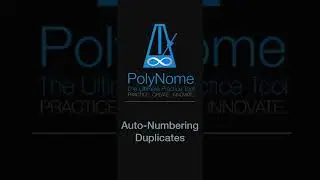 Auto Numbering in PolyNome - new in 22.08.2