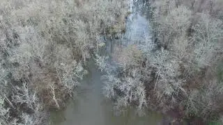 Searching for Ivory-billed Woodpeckers with a Drone (Part 1)