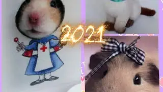 Видио для любителей животных! 🐾Милые животные:)   Котики, хомячки, собаки и тд. Хомо / Шоу #short