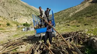 IRAN nomadic life | Collecting wood to build a nomadic shelter | Wood for nomadic shelter🪵⛺️