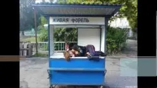 АРАК- атадан калган аш эмес!!! (Аске Мамит уулу