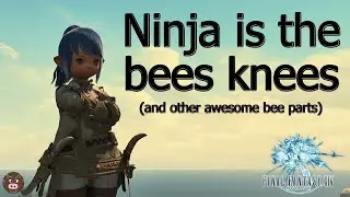 Ninja is the bees knees (and other awesome bee parts)
