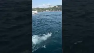 Berrak Tüzünataç, boğazda yüzdüğü anları paylaştı