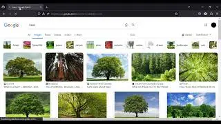 CS50 web Project 0 Google search