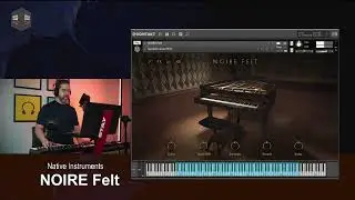 Native Instruments - Noire 