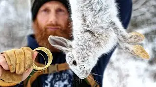 Smart Primitive Trap Built for Snow Rabbit | Stone Age Hunt with Longbow, Survival Skills