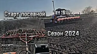 Культивация и сев кукурузы 2024, трактора МТЗ в деле!