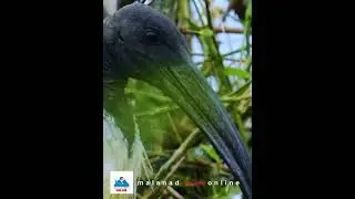 കടലും കരയും പർവതങ്ങളും താണ്ടി ദേശാന്തരങ്ങൾ പിന്നിട്ട യാത്ര...