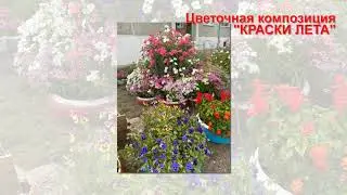 ЦВЕТЫ Новоселово