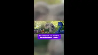 #юмор