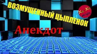 АНЕКДОТ: ВОЗМУЩЕННЫЙ ЦЫПЛЕНОК