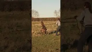 ГЛАВНЫЙ ЗВЕРЬ ТАБУНА, ТВОЙ ВЫХОД!