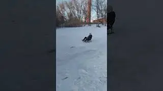 волк на санках