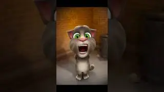 Кот Том Поет песню Патимейкер