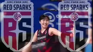 sparks diterpa kabar buruk setelah memastikan lolos ke babak playoff Liga Voli Putri V-League