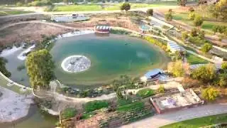 פארק ראש ציפור רמת גן  31.12.17