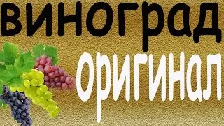 Виноград Оригинал