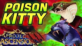 Is CAT Any FUN in S9? - Classless Project ASCENSION WoW!
