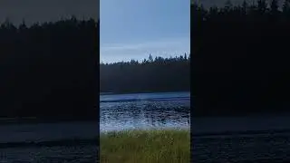 Оз. Воронцовское #рыбалка #carpfishing #nature #fish #fishing #feeder