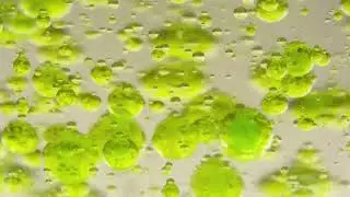 Вода. Пузыри зеленые.