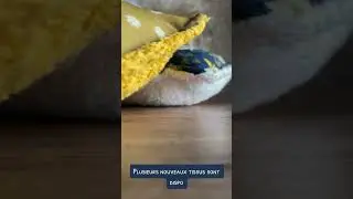 Éponge lavable & réutilisable 🌿 écologique & artisanale 😍