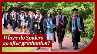 Where do Spiders go after graduation?