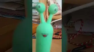 типичный мой день