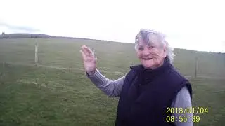 dog walk part 3