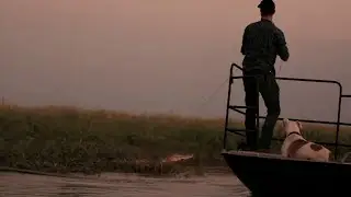 Outback Wrangler - Crocs & Cattle