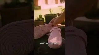 27 de agosto de 2024