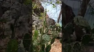 Удивительный Тайланд (15).              Остров Ко Лан 🌵, пляж Тай Яй 🏝️😎