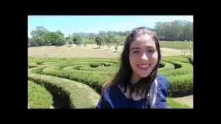 Holiday to Port Macquarie and Hasting River - Part One
