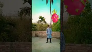 eating coconut dragon fruit mango orange Vfx magic video//