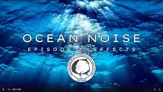 Ocean Noise - Episode 2 - Impact on Marine Wildlife