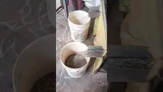 #uraddalprocessingmachine #blackuraddalpeelingpolishprocess