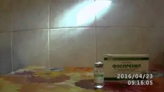 ФОСПРЕНИЛ - средство от сальмонеллеза, вертячки и др.