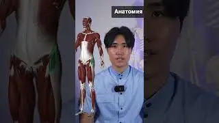 Боль в тазобедренном суставе.