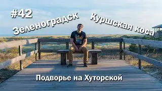 (#42) Зеленоградск, Куршская коса, Танцующий лес, высота Эфа, Подворье на Хуторской
