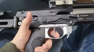 Dragunov Custom FCG